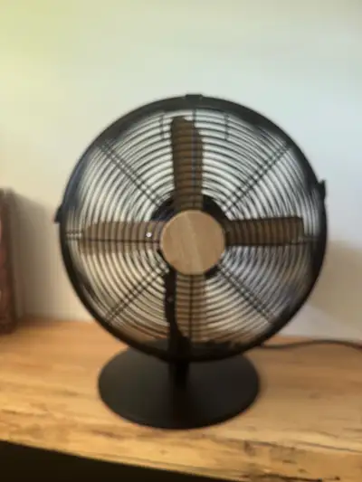 Vintage Fan, View more