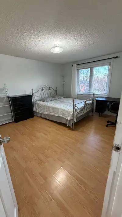 Big bright and specious room for rent. Basic utilities included and washroom is shared with one girl...