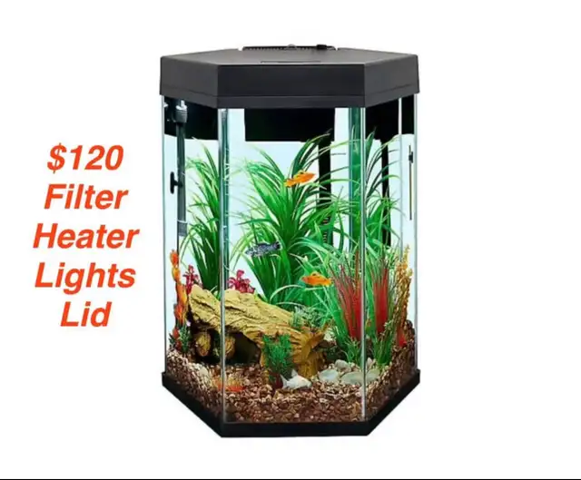 20 gallon aquarium with heater, light, filter and lid  in Accessories in Moncton - Image 2