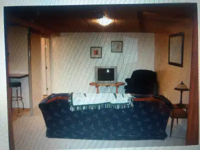 Beautiful basement suite