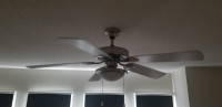 Ceiling Fan and Light