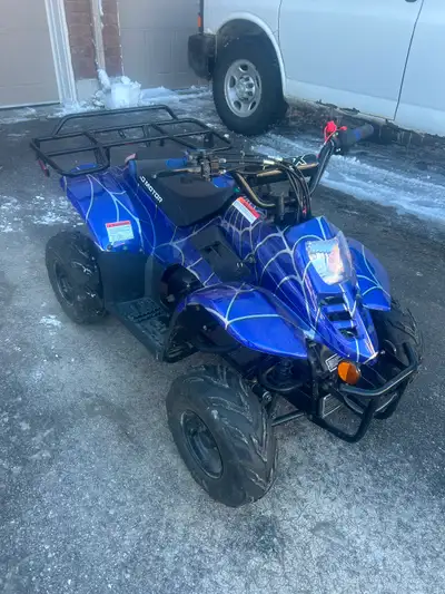 This Atv is almost Brand New. It has 2hrs of run time. I am the Original owner. It has a brand new b...