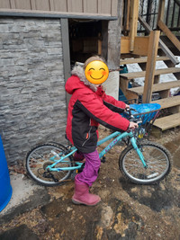 Kids Mountain Bike