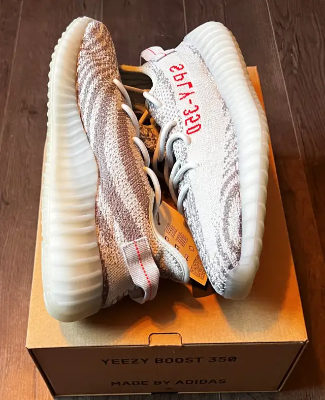 adidas Yeezy Boost 350 V2 Blue Tint - Size 12, 13 in Men's Shoes in City of Toronto - Image 3