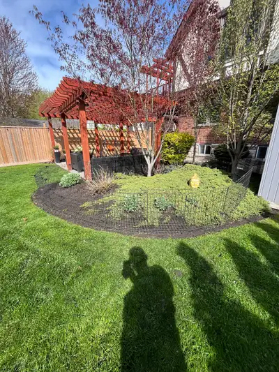 Weekly Lawn Care!, View more