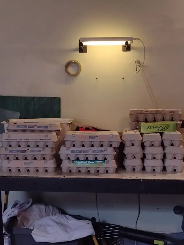 golf balls in Golf in Mississauga / Peel Region - Image 2