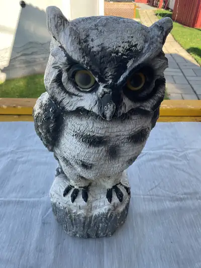 Hibou de jardin, View more