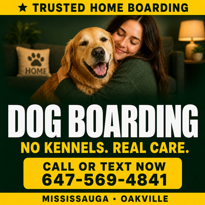 Don't leave your dog in a kennel. Real home. Real care. Real attention — every single day while you'...