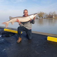 Musky walleye and pike tackle fishing lures 