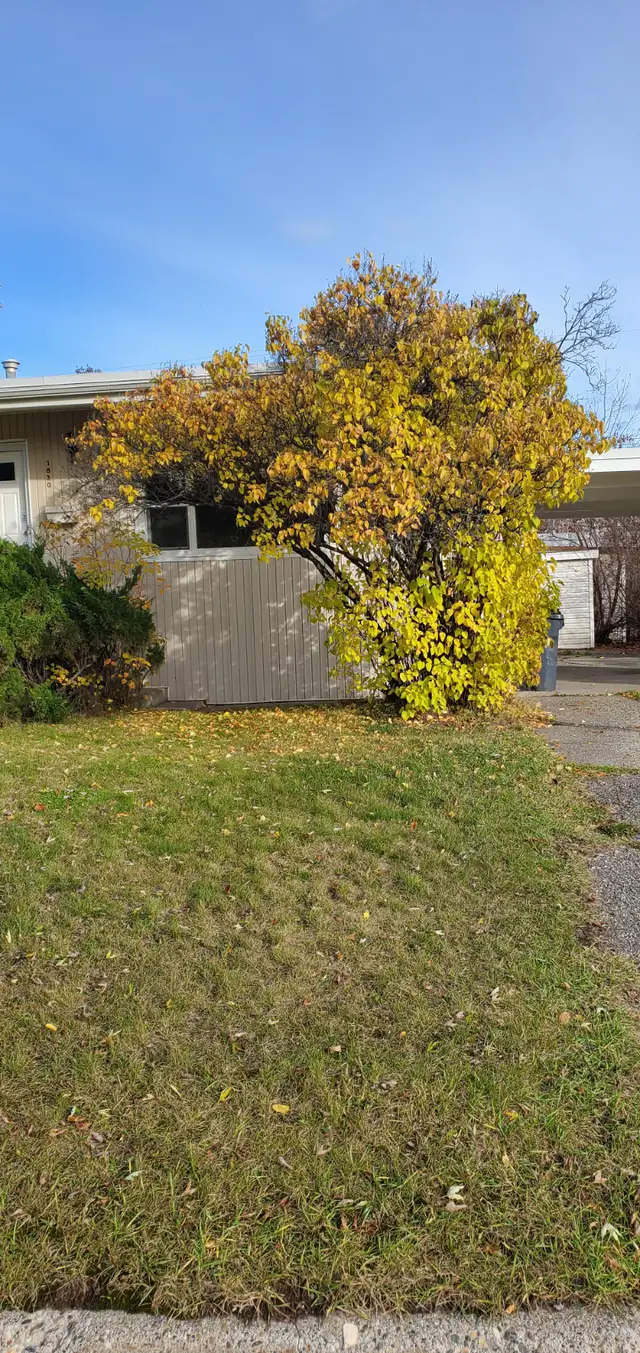 Older character home for rent. in Long Term Rentals in Prince George - Image 3