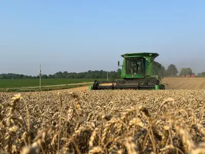 Young family farm looking to take care of your land. Multiple options such as cash rent, share crop,...