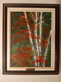 Oil painting "Birch trees" by Dale Garvin.