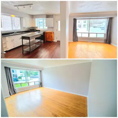 This rental unit has worked well as a transitional space for professional couples preparing for home...