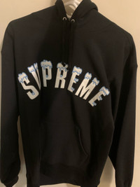 Supreme Icy arc hoodie 