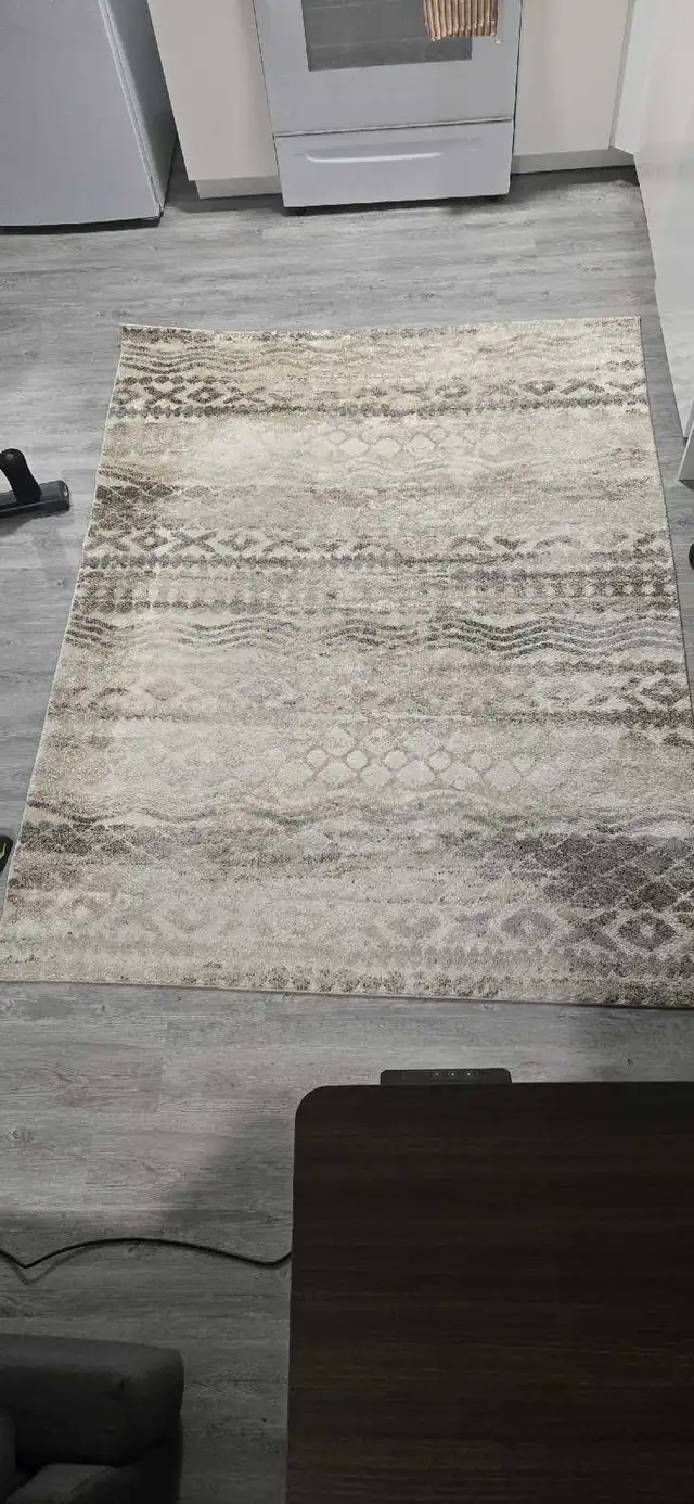Living Area Rug 5.3 ft. x 7ft in Rugs, Carpets & Runners in Ottawa - Image 2