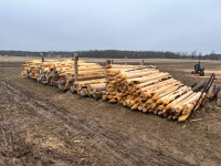 Cedar posts