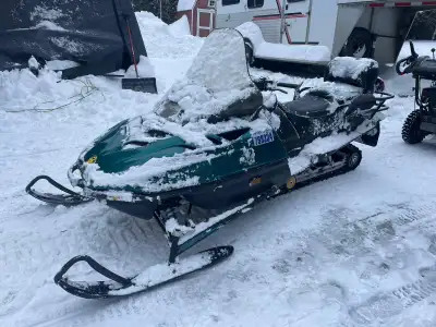 Perfect cottage or farm sled. Runs, reverse, heated thumbs and passenger handles. Electric start Wit...