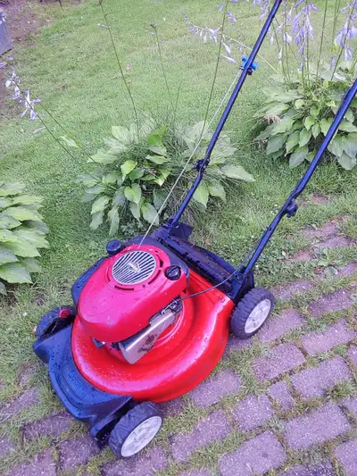 Briggs 6.5 HP lawnmower, View more