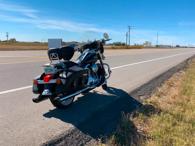 Harley Davison in Street, Cruisers & Choppers in Regina - Image 8