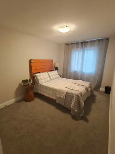 Room for Rent in Breslau