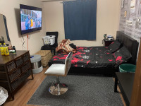 Two rooms available in malton from 1 may 