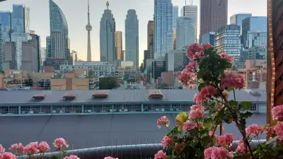 Location! Location! Location! 1 bdrm + den in the heart of St. Lawrence Market. Walk to work! All am...