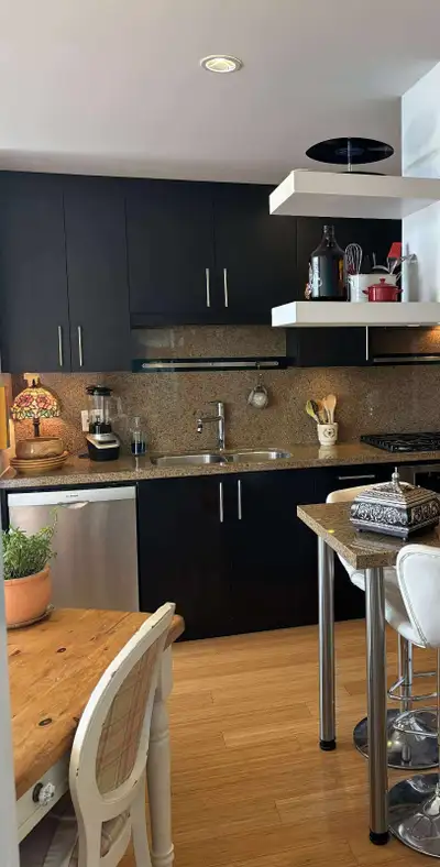 2 month Furnished Rental, View more