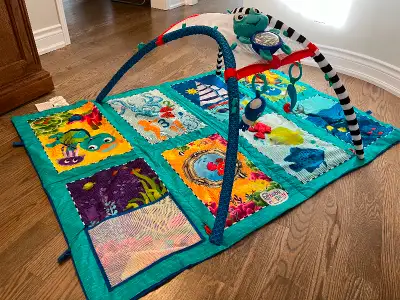 Baby Einstein Discovery Seas Multi Mode Gym, View more