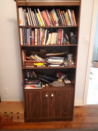 Brown Wood Panel Bookcase