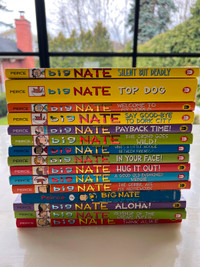 Collection of 15 Big Nate books