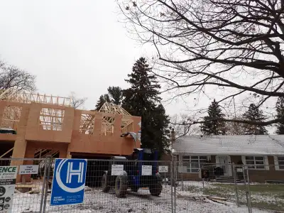 Trees / arborist, View more