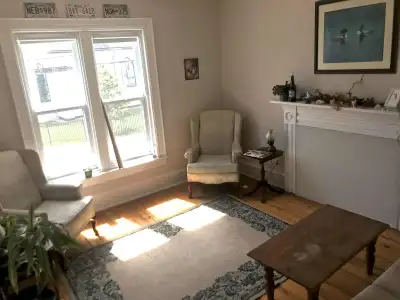 Room for Rent in Apartment Mostly to Yourself