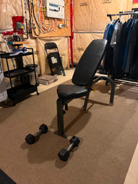 Commercial weight bench and dumbbells