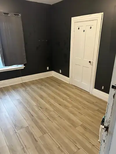 Looking for 4 female students for the 4 available rooms in this 6 bedroom downtown home. House curre...