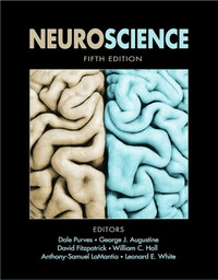 Neuroscience Fifth Edition