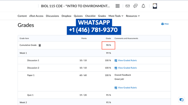 ASSIGNMENT HELP, ESSAY HELP, HOMEWORK HELP, ENTIRE COURSES HELP65502581955969123