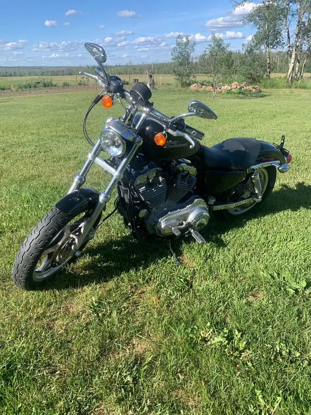 2006 Harley-Davidson Sportster 883 in Street, Cruisers & Choppers in Fort St. John - Image 5