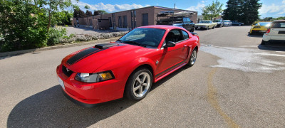 2004 Mustang Mach 1 with 8200 clicks