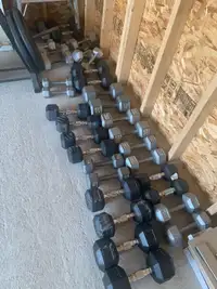 500+ Pounds of Dumbbells and Exercise Equipment 