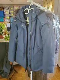 North    Bear   Jacket