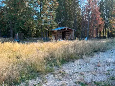 Cabin in the woods