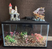 Fish tank