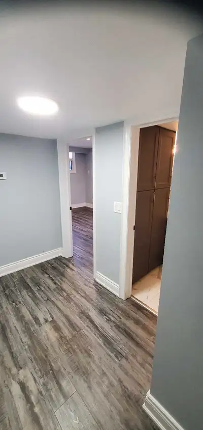 Bachelor for rent