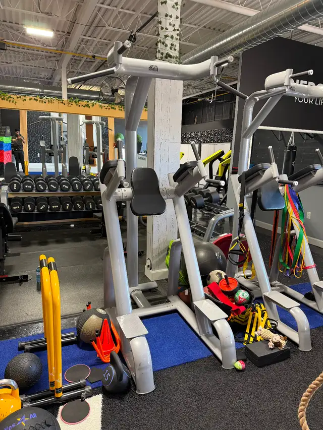 Commercial Leg raise station | Exercise Equipment | Mississauga / Peel ...