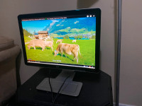 Used 22" HP W2207 LCD Monitor with HDMI for Sale