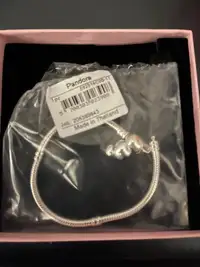 Pandora Disney 100 Snake chain bracelet plus charm - brand new -