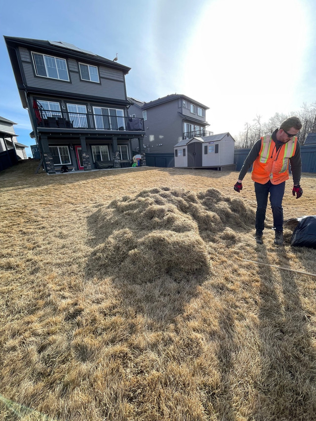 Spring clean ups/fertilizer 7806194907 in Lawn, Tree Maintenance & Eavestrough in Strathcona County - Image 2