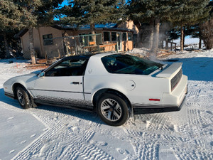 1984 Pontiac Firebird