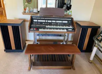 VOUS RECHERCHEZ UN ORGUE VINTAGES AUX CAPABILITIES INFINI, View more