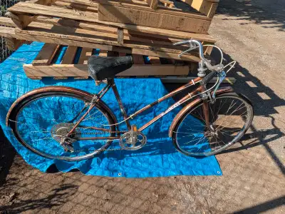 Sears 5 speed ladies bike, View more